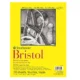 Pad Bristol Vellum Serie 300 Strathmore 22,9x30,5cm. 270g/m2 20 Hojas