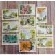 Pad Watercolor Postcards Strathmore 10,16x15,2cm. 300g/m2 15 Tarjetas - Image 2